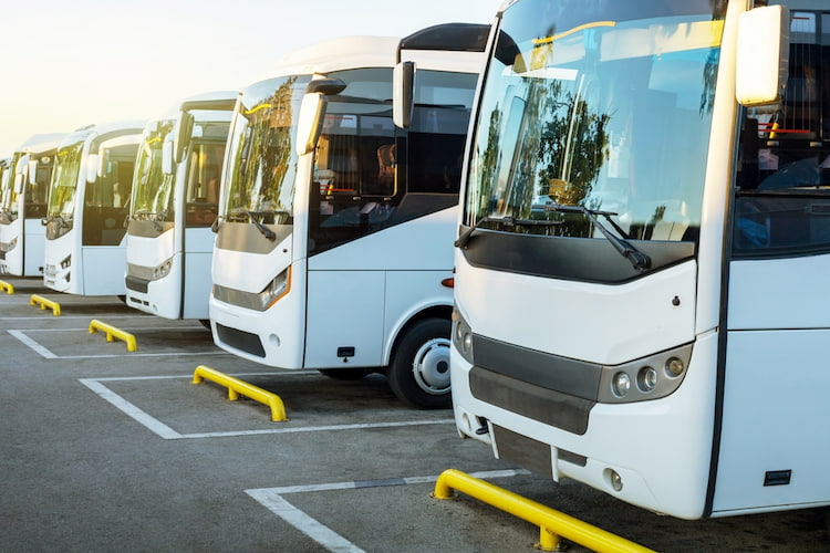 a row of parked tour buses