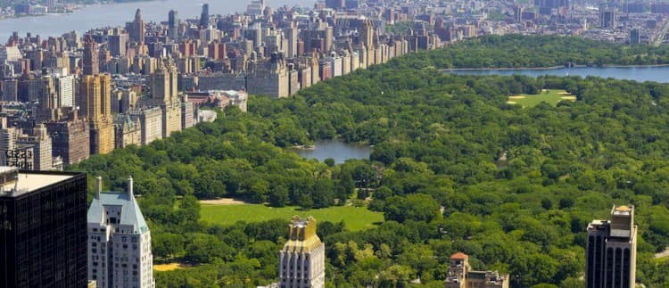 Aerial view of New York City Central Park