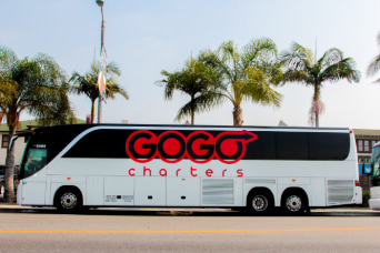 a GOGO Charters branded bus parked on a street lined with palm trees