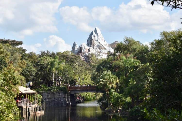 Inside of Animal Kingdom in Disney World Orlando