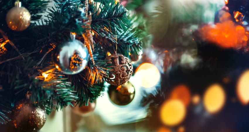 ornaments hang from an outdoor christmas tree