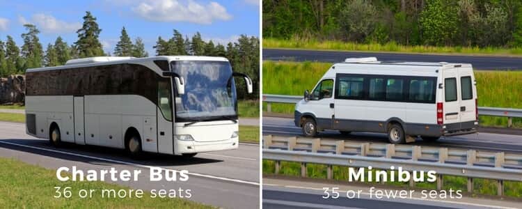 charter bus and minibus seat comparison