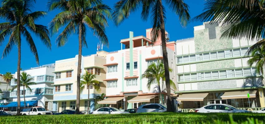 Palm trees lining a beachside building