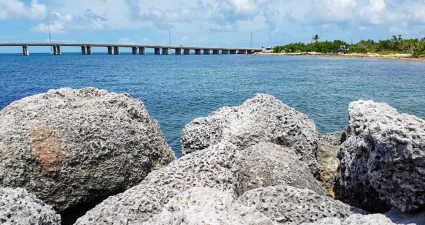 Rocks along the shore in Islamorada