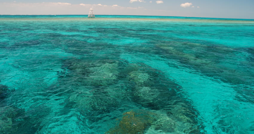 Coral reefs under the waves at John Pennekamp State Park