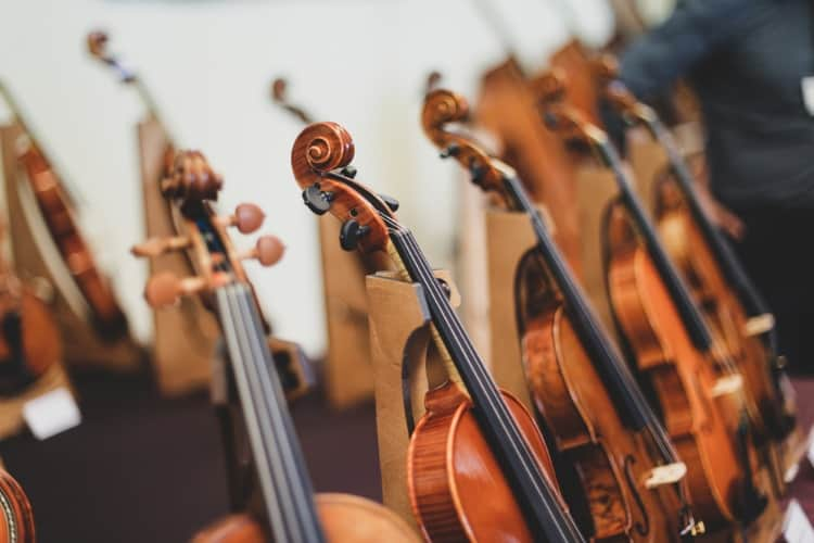 String instruments lined up