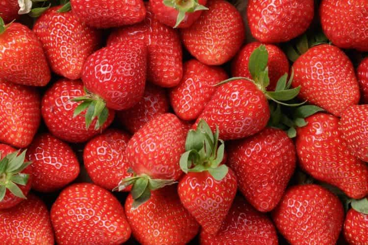 bunch of ripe bright red strawberries