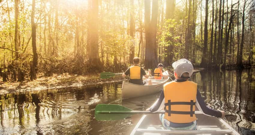 A group of people with children kayaking at a park.