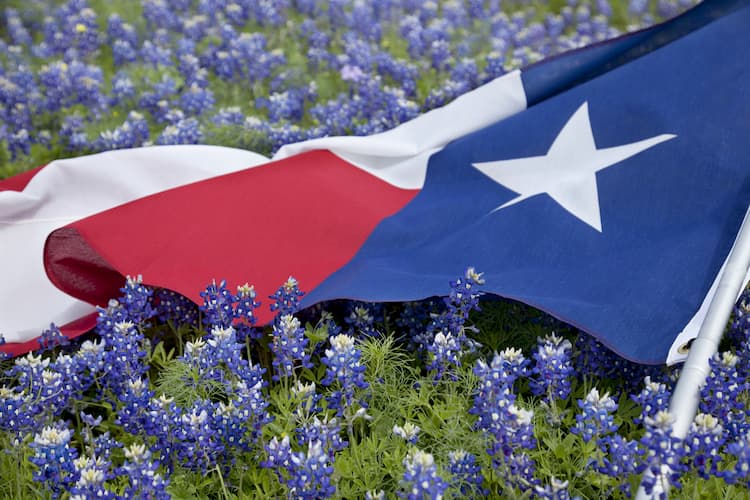 Texas flag in a field of blue bell flowers.