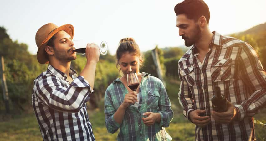 A group of friends having red wine in a vineyard