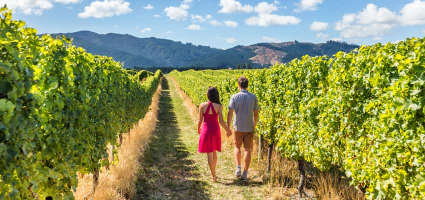 a couple hold hands as they walk through a Napa Valley vineyard