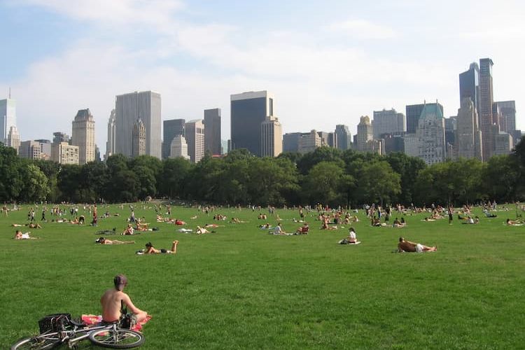 Great Lawn in Central Park