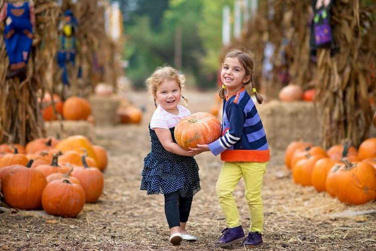 Kids at pumpkin patch