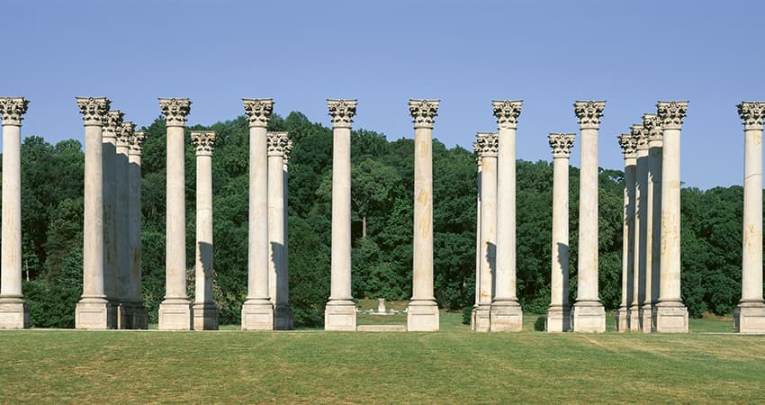 The Captiol Columns surrounded by fall foliage at the US Arboretum.