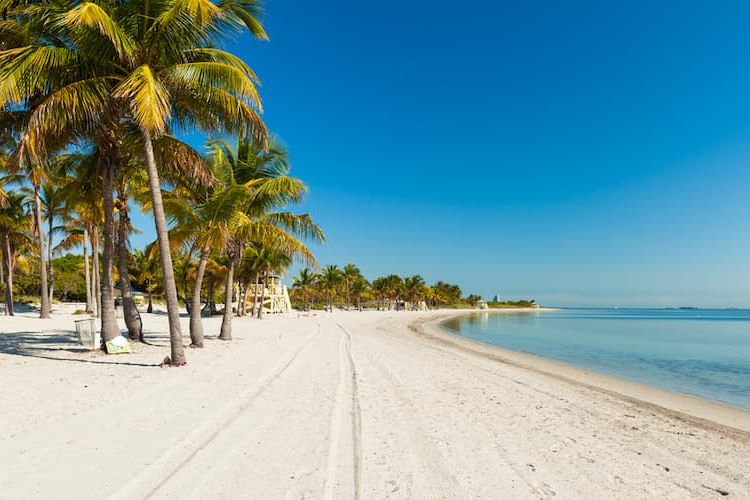 Beach at Crandon Park