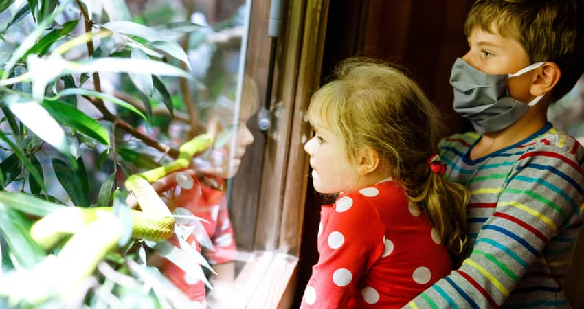 Two kids looking at a zoo exhibit