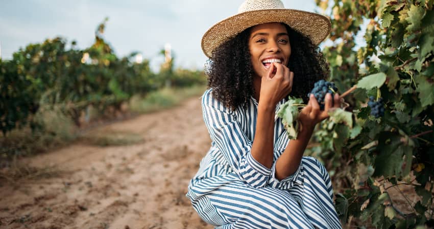 A woman in a broad sunhat eats grapes from the vine at a vineyard