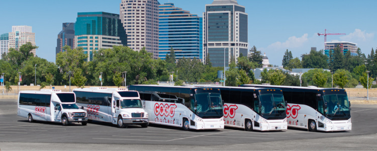 a row of parked charter buses with "gogo charters" logos on the sides