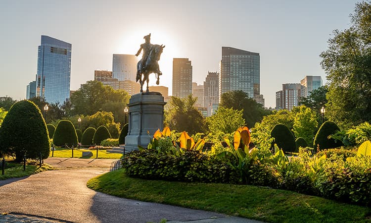 A statue in the Boston Common at sunrise