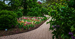 A garden path in Lombard, Illinois