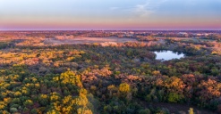 an aerial view of Hoffman Estates in fall