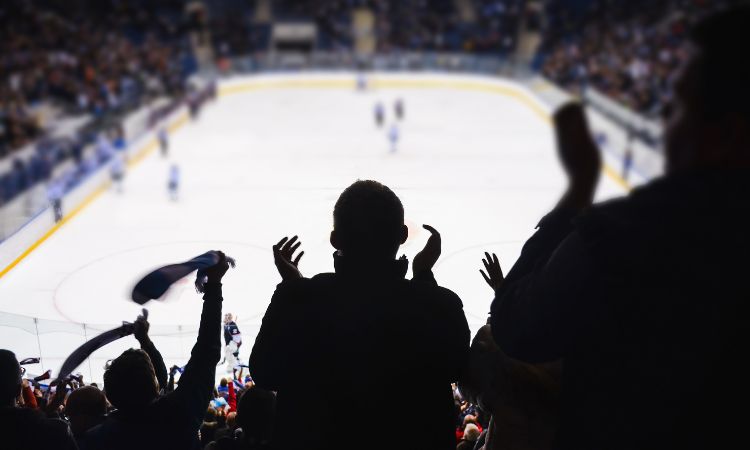 fans cheer on a hockey team