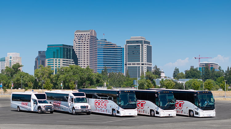 Different types of charter buses parked in a row