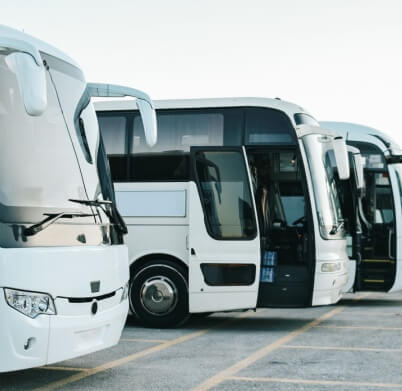 a row of parked charter buses