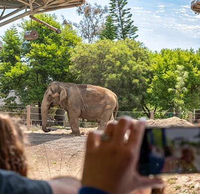 San Diego Zoo