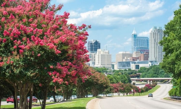 Raleigh North Carolina skyline, the state capitol