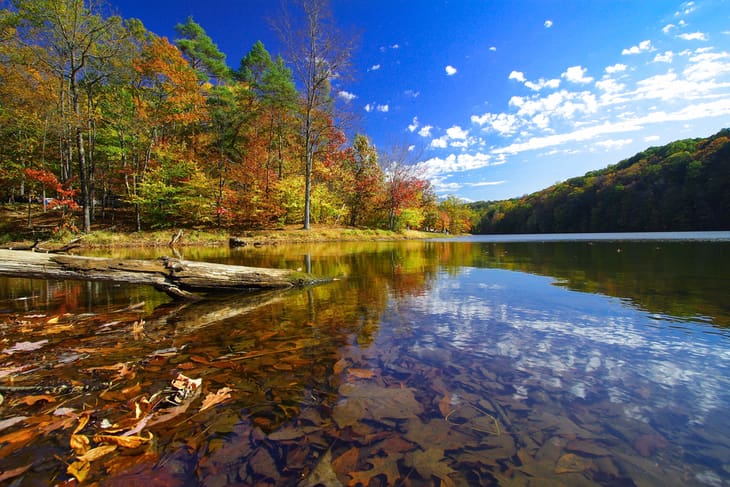 a pond with autumn-colored trees in the background on a crisp, clear day