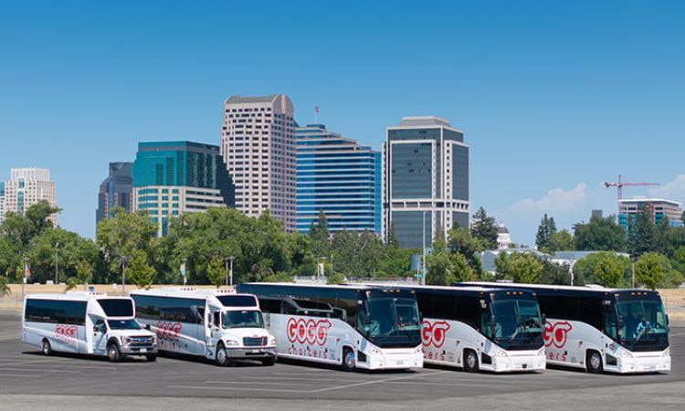 A GOGO Charters charter bus fleet