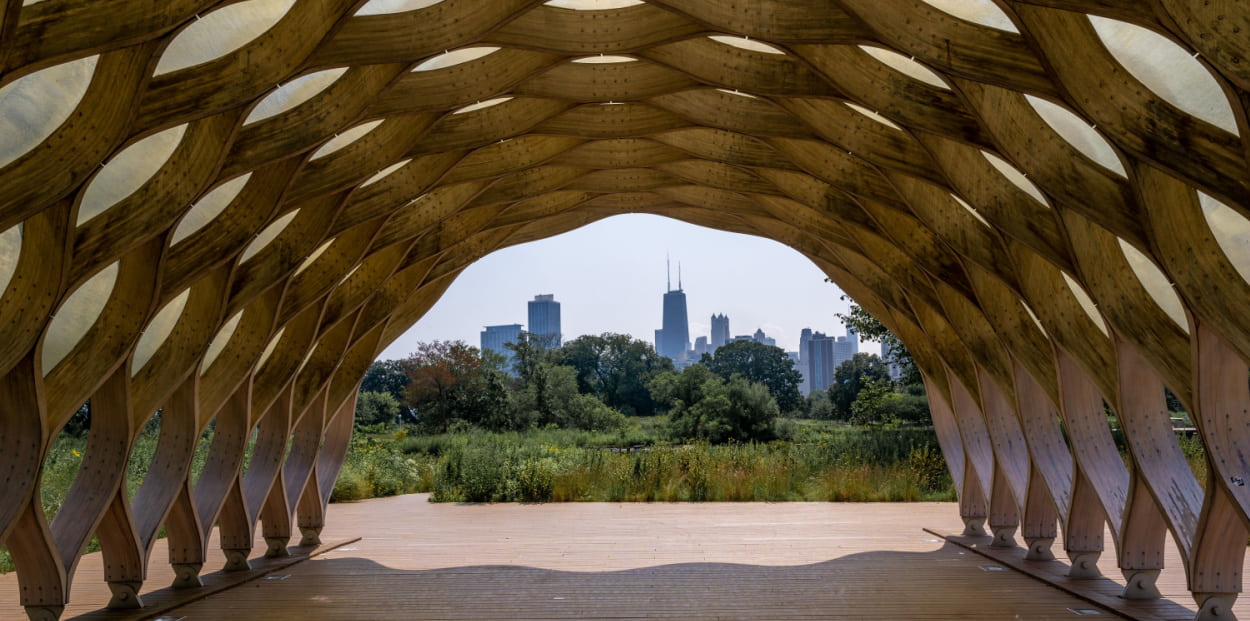 a view of the Chicago skyline from inside a wood tunnel in lincoln park