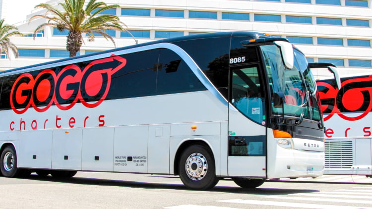 two GOGO charters buses