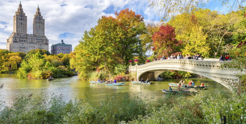 a bridge over water at central park with autumn colors in the trees