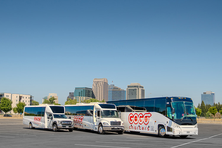 Different types of charter bus rentals parked in a row