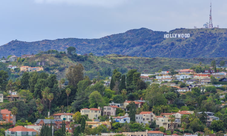 the Hollywood sign and the houses in the valley below