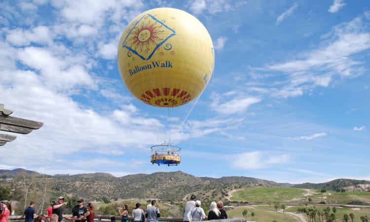 air balloon looking over the san diego zoo safari park