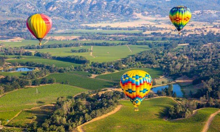 Hot air balloons over Napa Valley