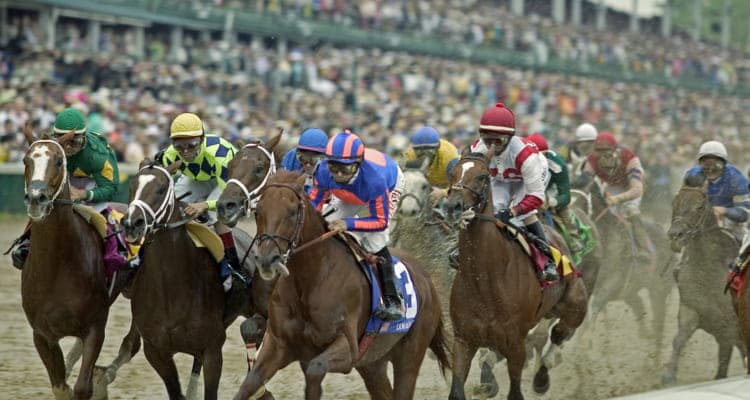 kentucky derby horses racing gogo charters