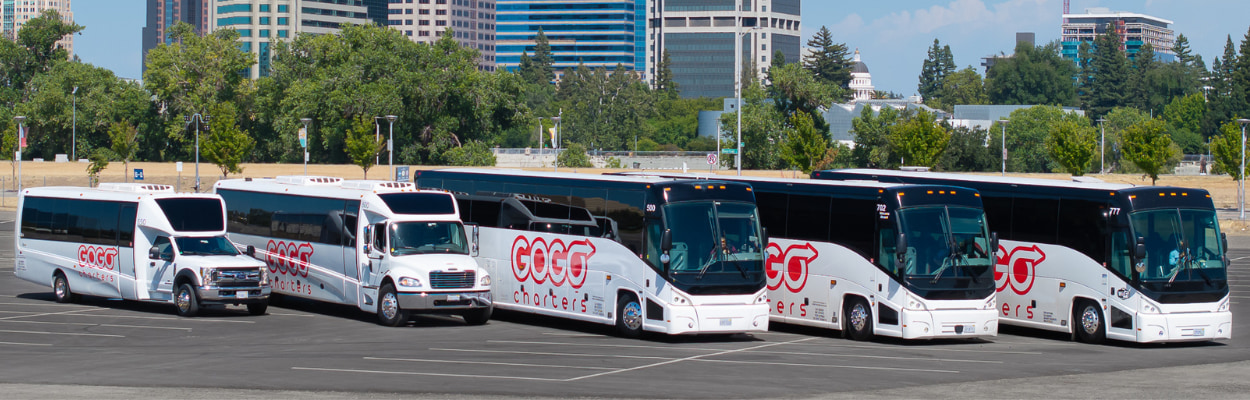 a row of parked charter buses with gogo charters logos on them