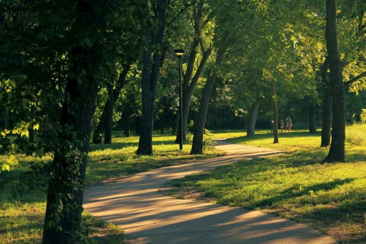 a beautiful green walking trail in mckinney falls state park