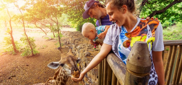 zoo guests smile while a giraffe eats out of their hands
