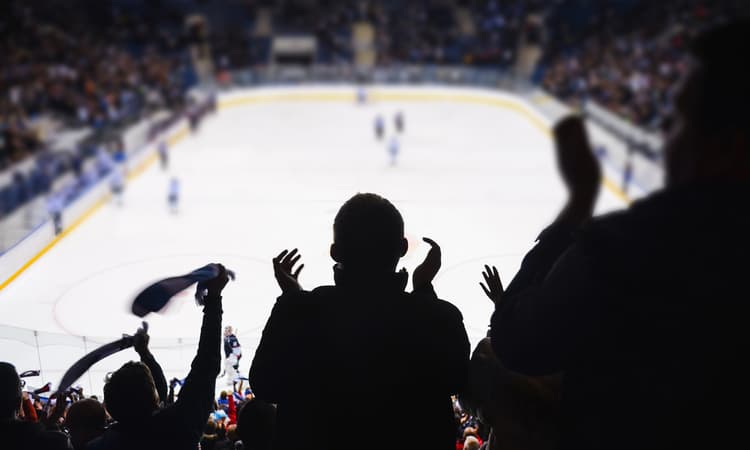 A crowd cheering in the stands at a hockey game