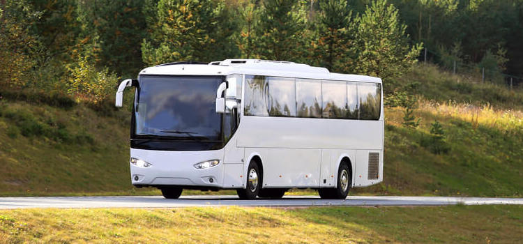 Corporate bus rentals