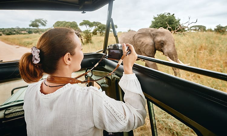 Woman photographs an elephant at a Safari Park