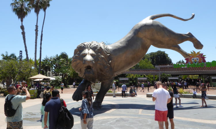 crowds take photos of a lion statue at the san diego zoo