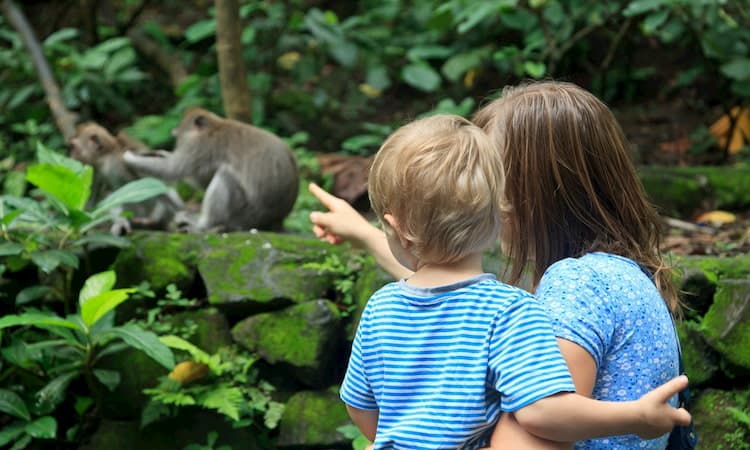 Mother and child looking at monkeys at the zoo