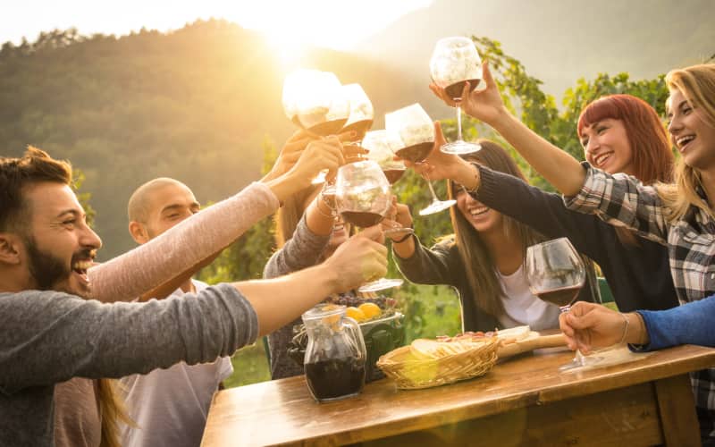 a group of friends toast wine glasses at a California vineyard