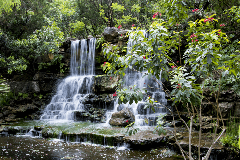 a waterfall at Zilker park